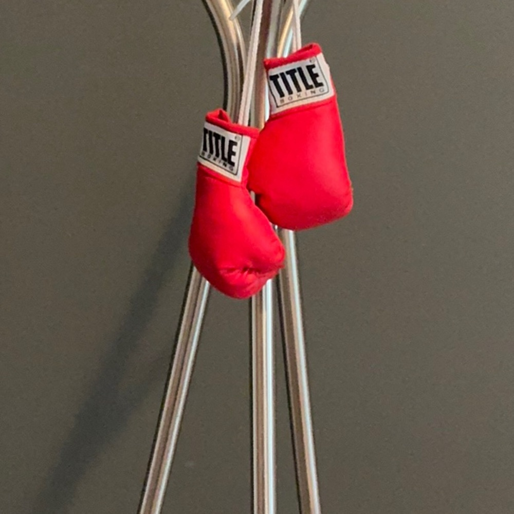 Red Mini Title Boxing Gloves Decor